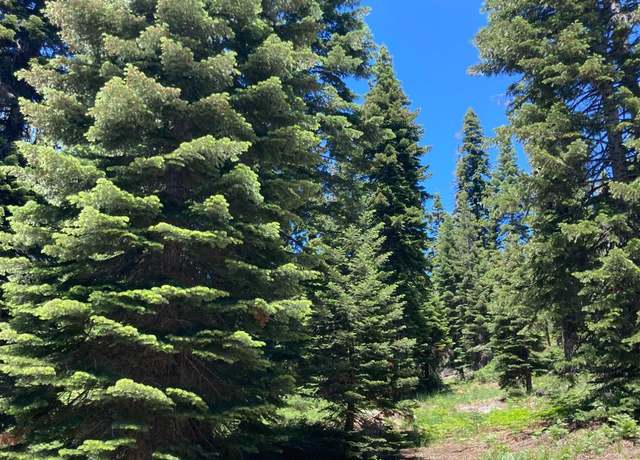 Property at 179 Norton Meadows Rd, Bucks Lake, CA 95971