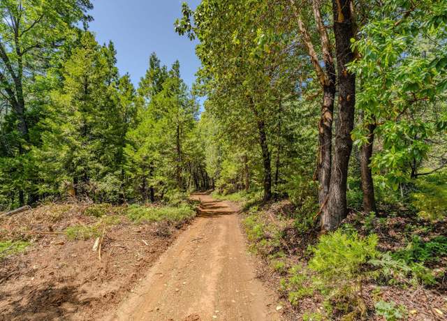 Property at Undisclosed address, Pioneer, CA 95666