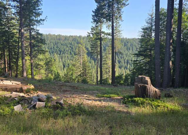 Property at 13907 Lightning Tree Rd, Nevada City, CA 95959