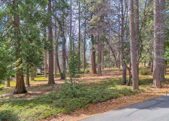 Property at 5556 Wylderidge Dr, Murphys, CA 95247