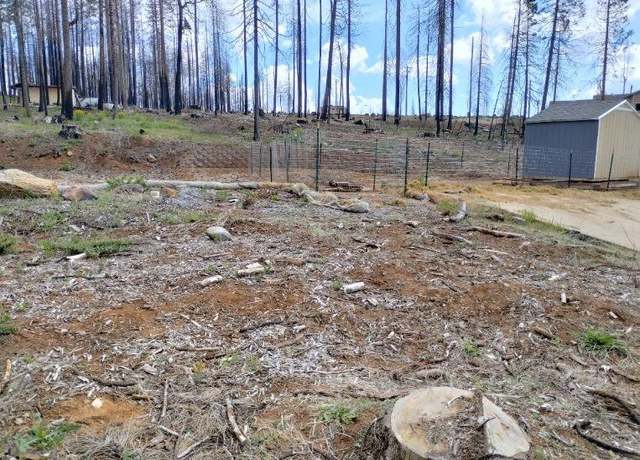 Property at 7003 Tyler Dr, Grizzly Flats, CA 95636