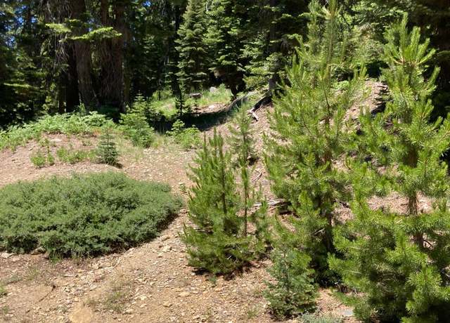 Property at 221 Norton Meadows Rd, Bucks Lake, CA 95971