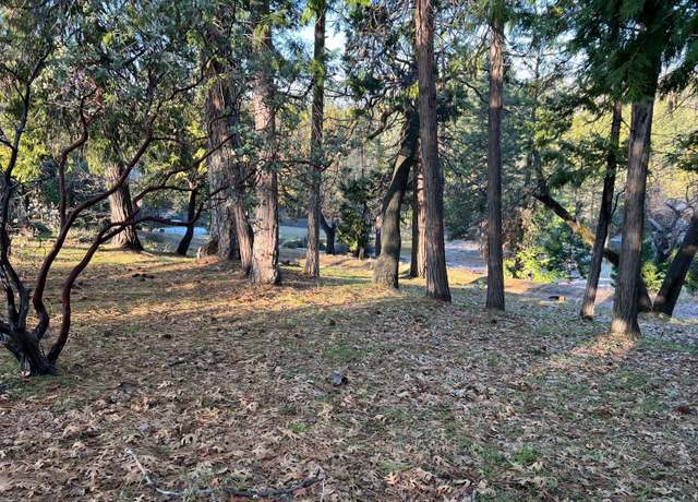 Property at 1238 Canyon Ridge Ct, Murphys, CA 95247