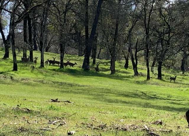 Property at 19 - Ac Jurgens Rd, Rescue, CA 95672