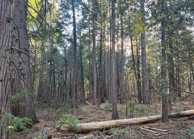 Property at 5 - Acres Oso Mesa Ct Lot 24, Georgetown, CA 95634