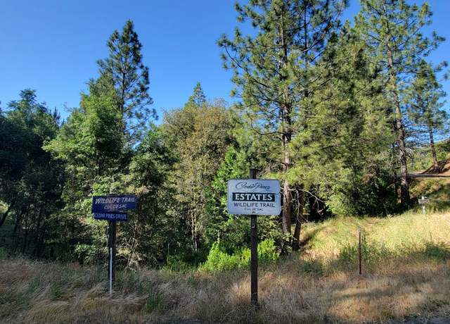 Property at 18451 Wildlife Trl, Fiddletown, CA 95629