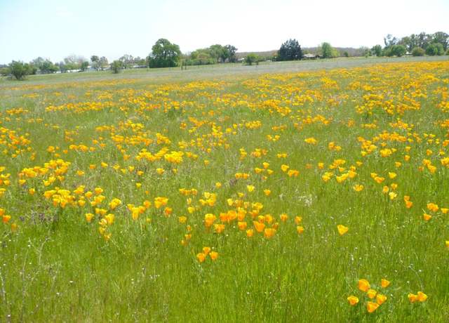 Property at 0 CR 87, Winters, CA 95694