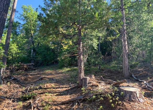 Property at 3088 Quicksilver Ct, Pollock Pines, CA 95726