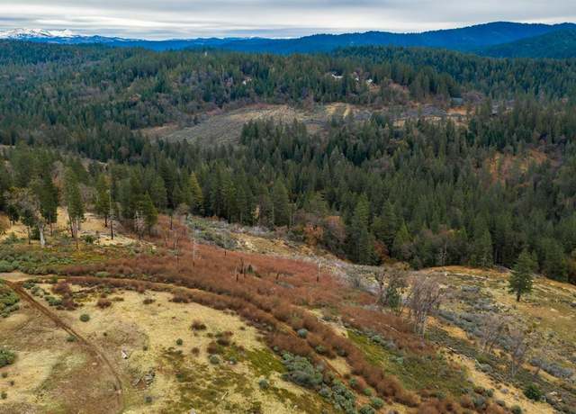 Property at 0 Pine Tree Ln, Pollock Pines, CA 95726