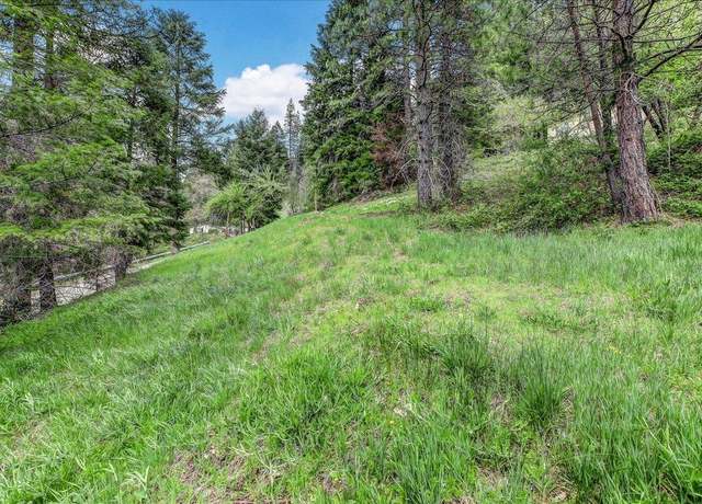 Property at 118 E River St, Downieville, CA 95936