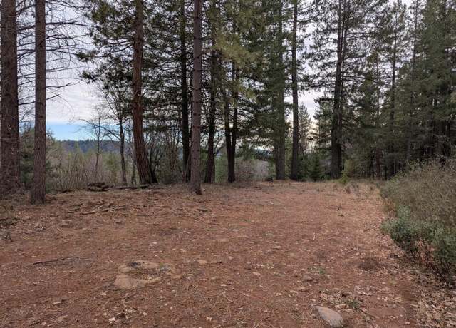 Property at 3000 Moody Ridge Rd, Gold Run, CA 95717