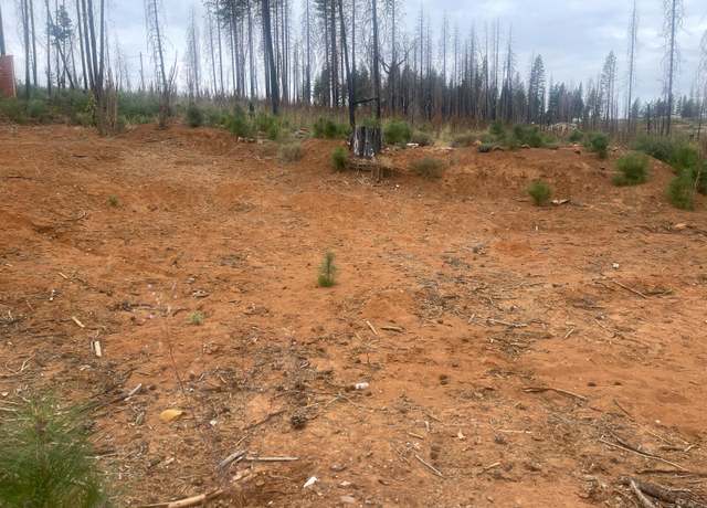 Property at 5187 Evergreen Dr, Grizzly Flats, CA 95636
