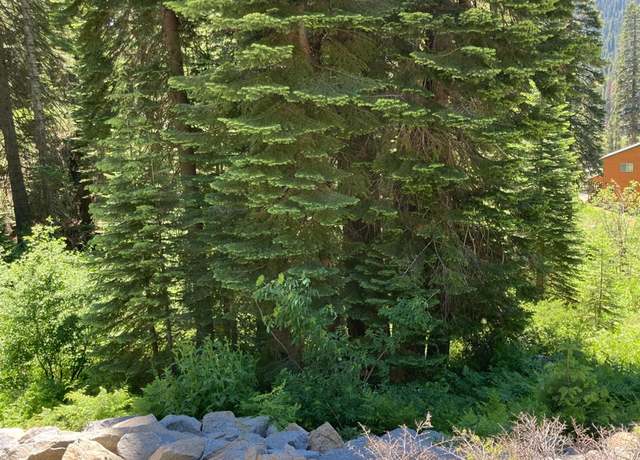 Property at 230 Norton Meadows Rd, Bucks Lake, CA 95971
