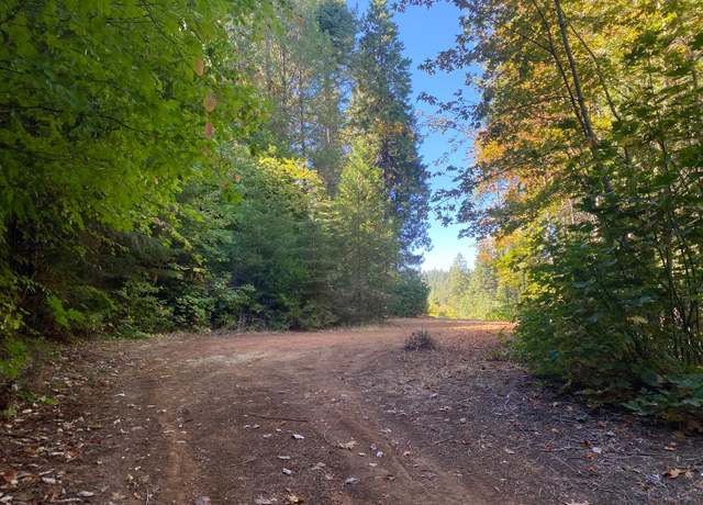 Property at 6 Acres Peaceful Pl, Pollock Pines, CA 95726