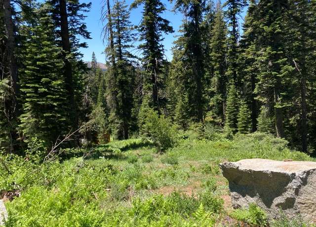 Property at 352 Norton Meadows Rd, Bucks Lake, CA 95971