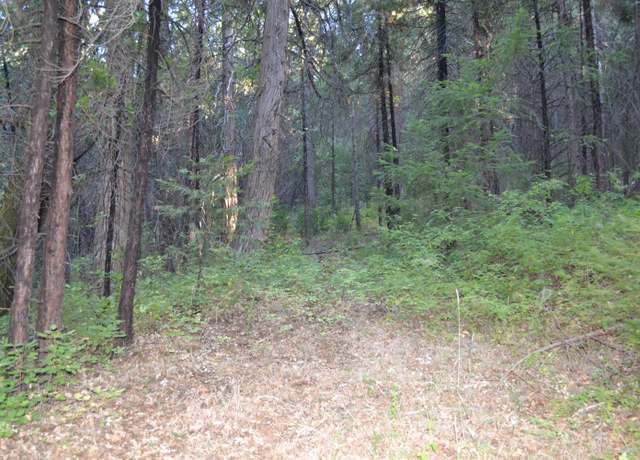 Property at 0 Lodestone Rd, Somerset, CA 95684