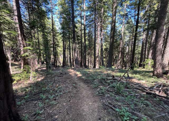 Property at 2925 Quincy La Porte Rd, Strawberry Valley, CA 95981