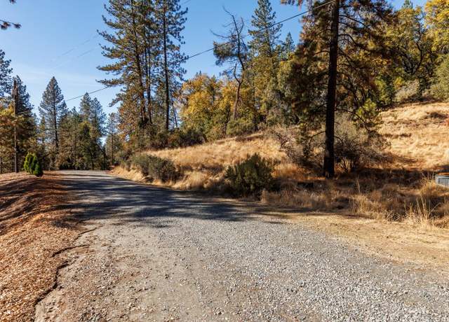 Property at 3551 Red Dog Dr, Camino, CA 95709