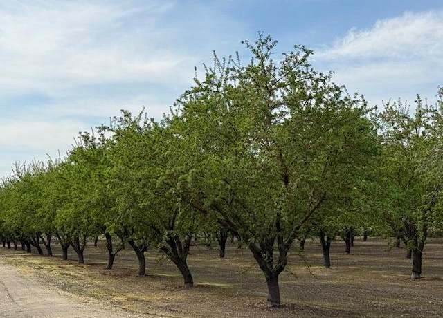 Property at 0 Leedom & Mt View Rd Cor, Hughson, CA 95326