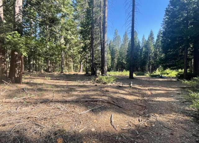 Property at 16070 Ophir Silver Rd, Nevada City, CA 95959