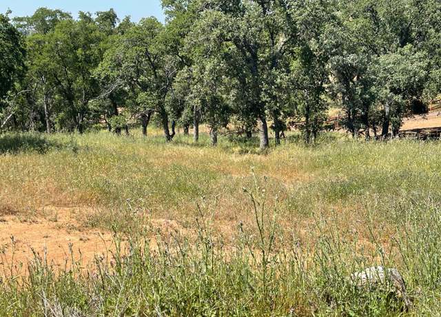 Property at 9454 Zarzo, La Grange, CA 95329