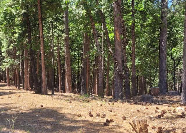 Property at 4790 Sierra Springs Dr, Pollock Pines, CA 95726