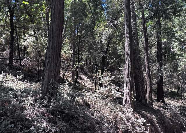 Property at 14763 Mitchell Mine Rd, Pine Grove, CA 95665