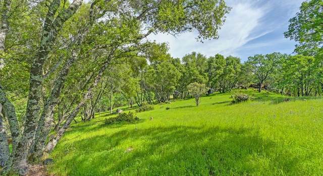 Photo of 2221 Saffron Ln, Pilot Hill, CA 95664