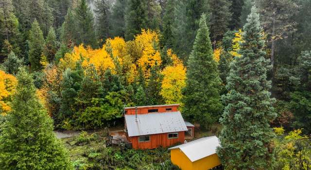 Photo of 17010 State Highway 49, Camptonville, CA 95922