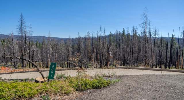 Photo of 4861 Mount Pleasant Dr, Grizzly Flats, CA 95636
