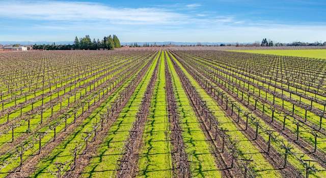 Photo of 16300 N Tretheway, Lodi, CA 95240