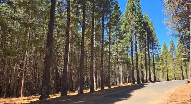 Photo of 4381 Volcanoville Rd, Georgetown, CA 95634