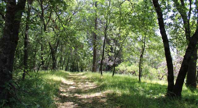 Photo of 21785 Highway 26, West Point, CA 95255