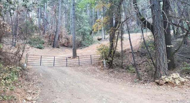 Photo of 0 - 00 Bloomer Hill Rd, Berry Creek, CA 95916