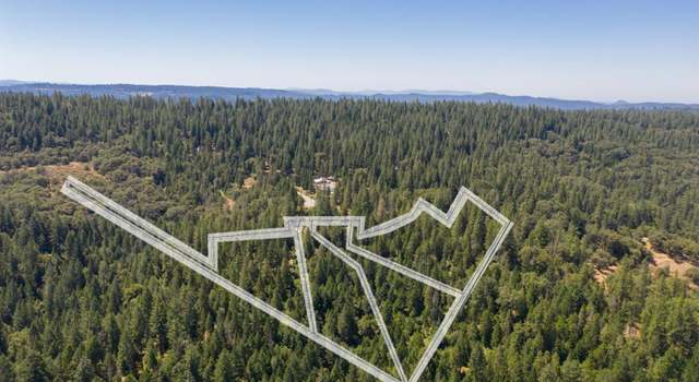 Photo of 19350 Tyleranne Ln, Volcano, CA 95689