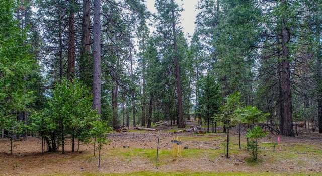 Photo of 25594 Overland Dr, Volcano, CA 95689