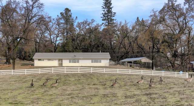 Photo of 11144 Burkard Ln, Rough And Ready, CA 95975