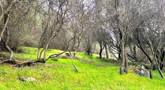 Photo of 14344 Lake Wildwood Dr, Penn Valley, CA 95946