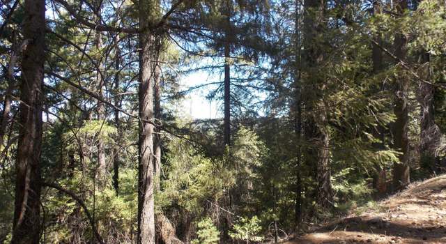 Photo of 26311 Shake Ridge Rd, Volcano, CA 95689