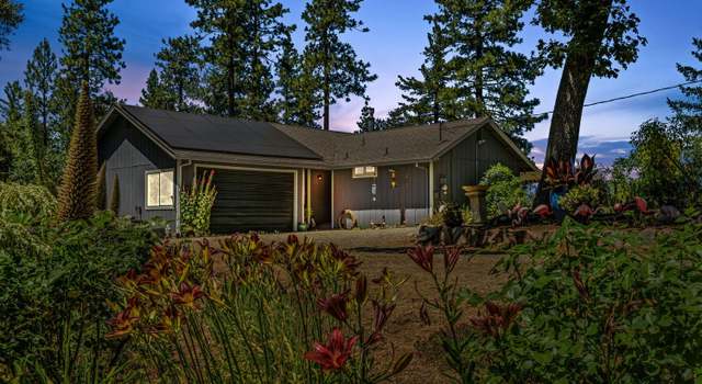 Photo of 20445 Wild Pine Dr, Pine Grove, CA 95665
