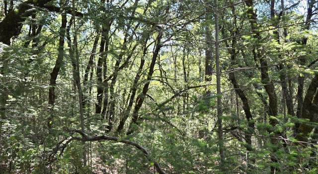 Photo of 0 Greenwood Ln, Garden Valley, CA 95633