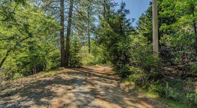 Photo of 26771 Four Wheel Dr, Pioneer, CA 95666
