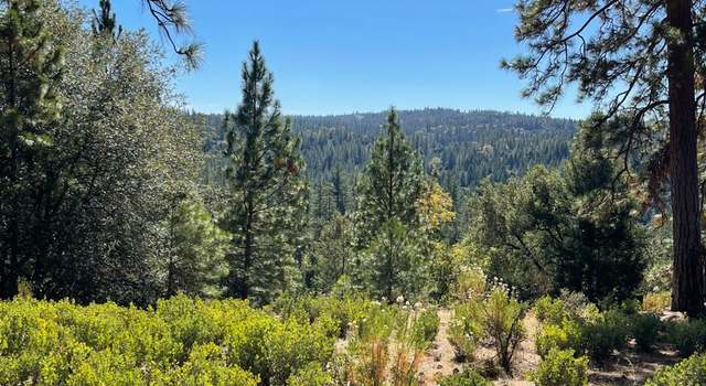 Photo of 0 Mitchell Mine Rd, Pine Grove, CA 95665