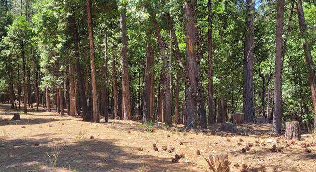 Photo of 4790 Sierra Springs Dr, Pollock Pines, CA 95726