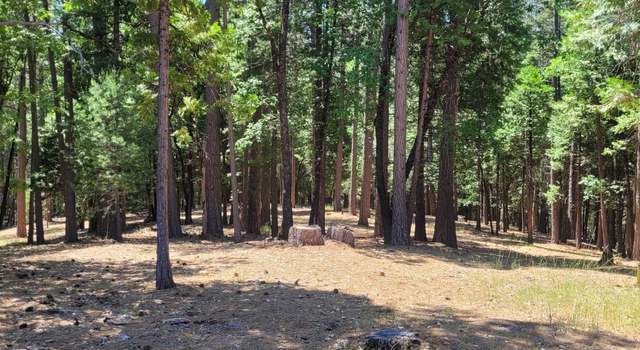 Photo of 4790 Sierra Springs Dr, Pollock Pines, CA 95726