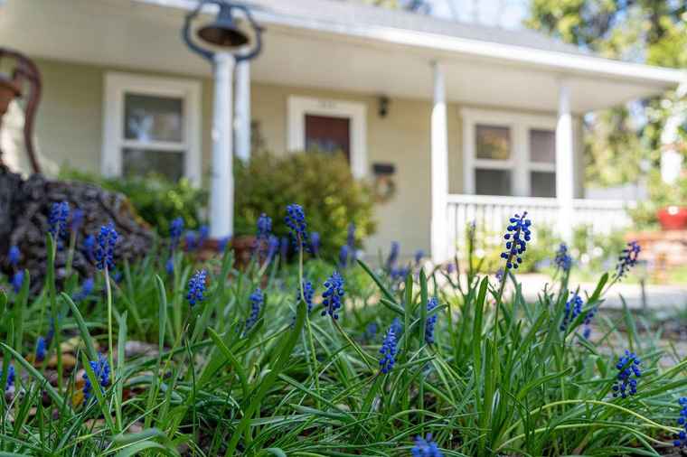 Photo of 212 Pleasant St Grass Valley, CA 95945