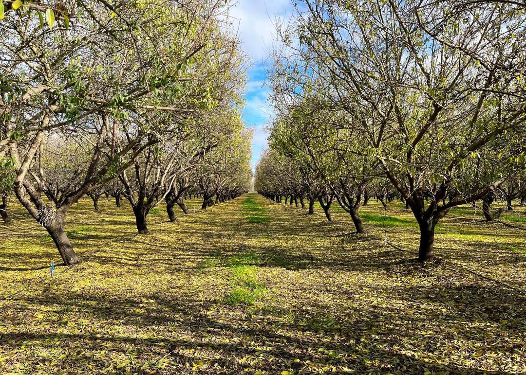 0 Eucalyptus Ave, Winton, CA 95388