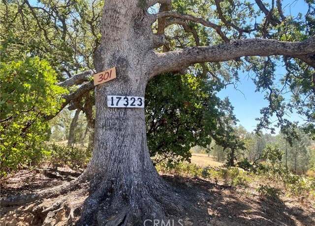 Property at 17323 Wagon Wheel Dr, Corning, CA 96021
