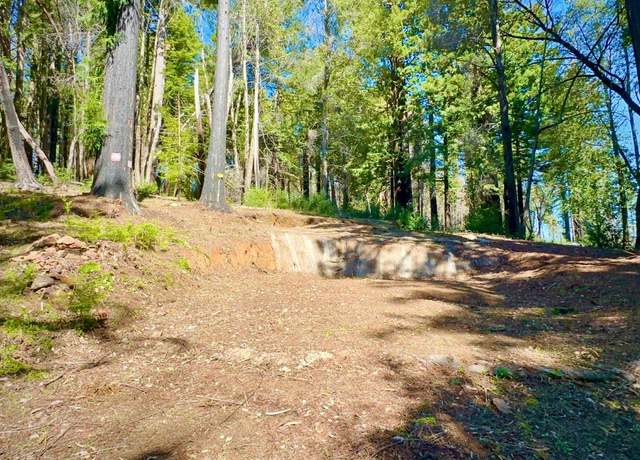 Property at 80 Conifer Ln, Santa Cruz, CA 95060