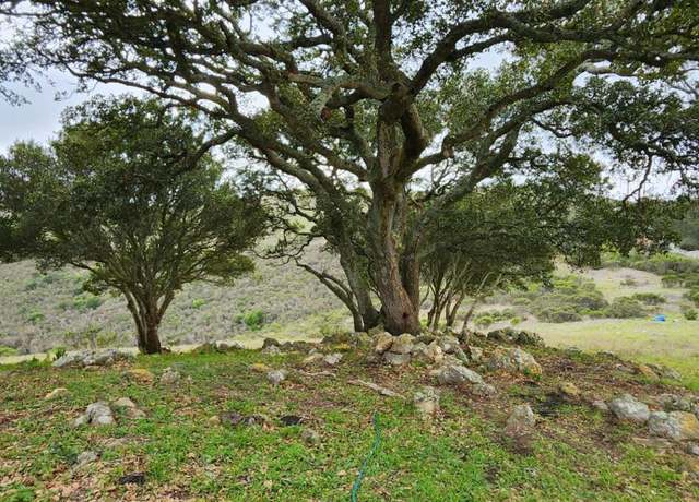 Property at 0 Salinas Salinas Rd, San Juan Bautista, CA 95045